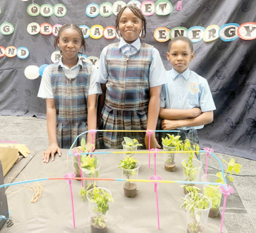 Premier International School students promote recycling in science fair