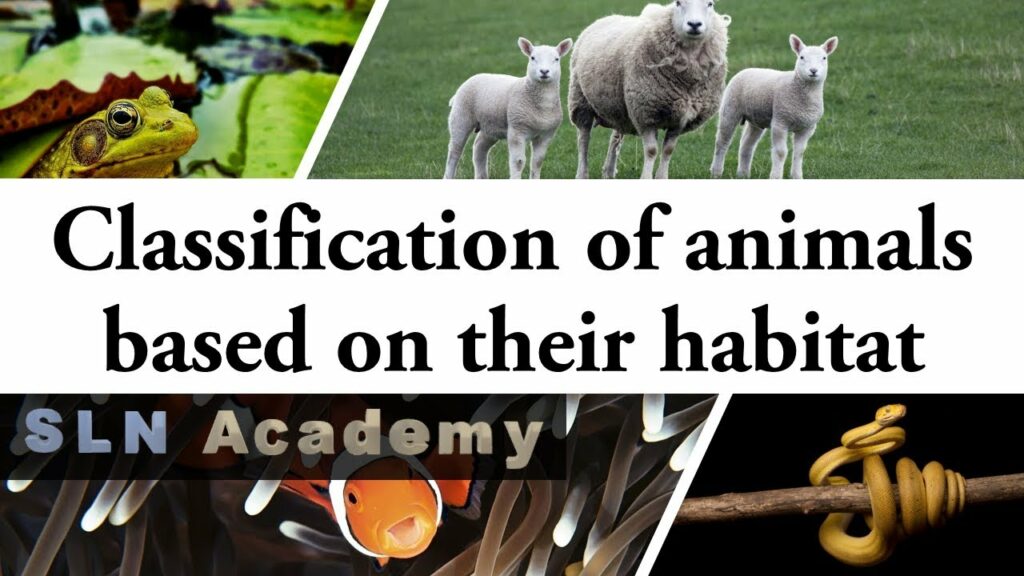 Classifications of Mammals based on habitat