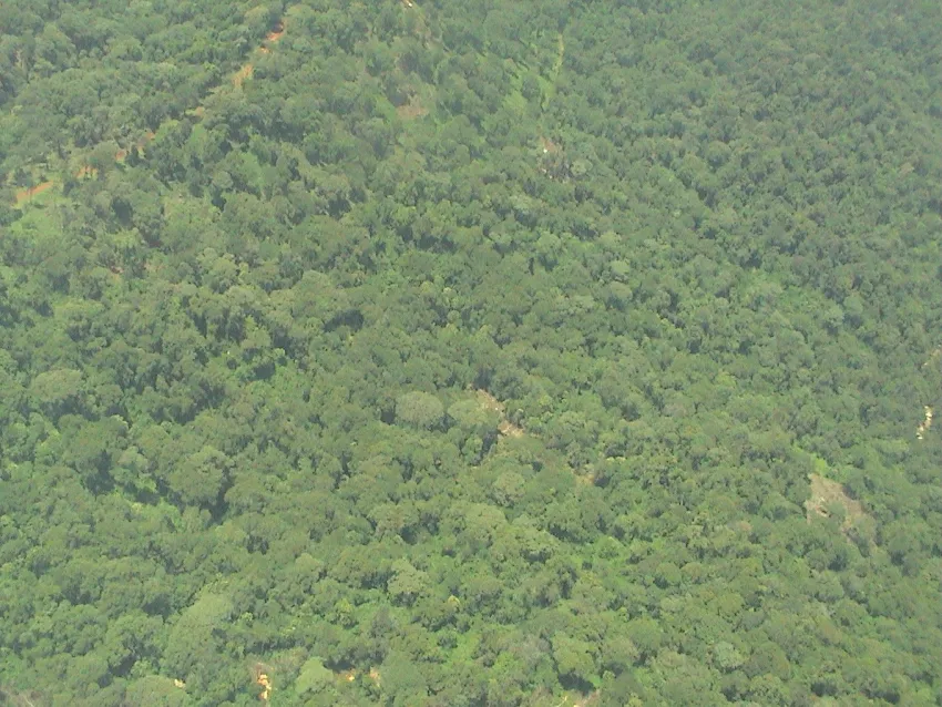 Most dangerous forest in Nigeria