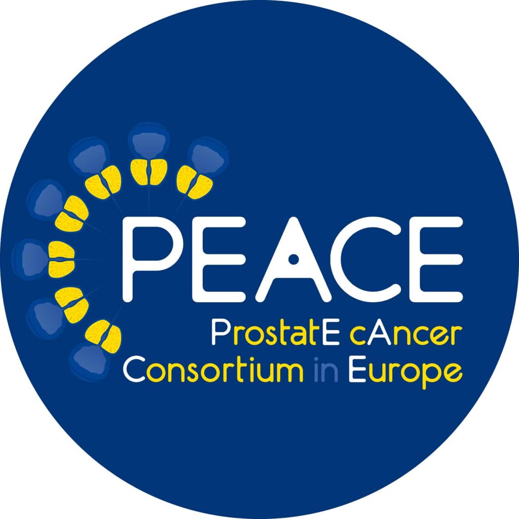 EU consortium strengthening peace clubs, peace knowledge in Kano schools