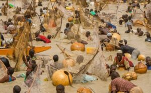 The pomp and pageantry of Argungu Fishing Festival