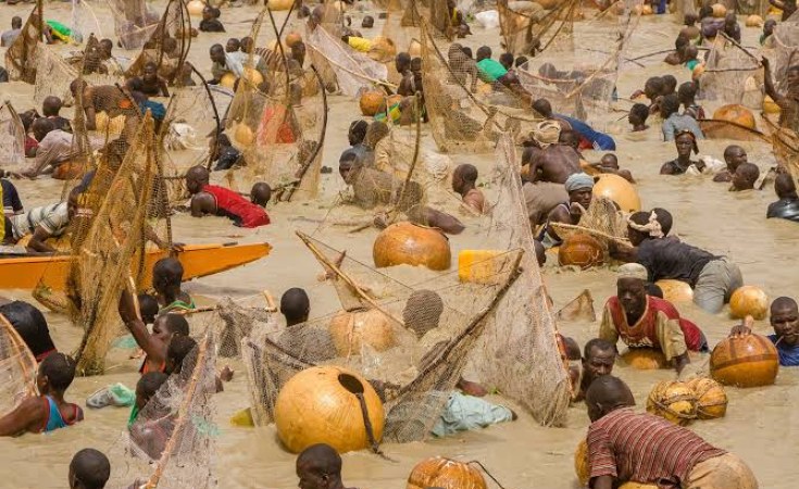 The pomp and pageantry of Argungu Fishing Festival