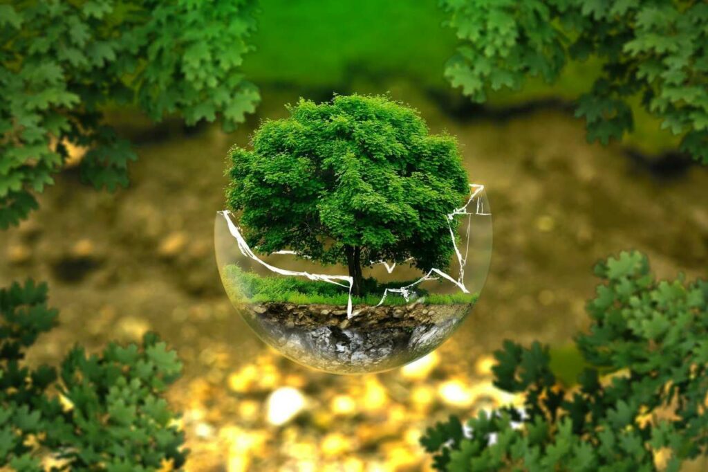 The advantages of a clean environment