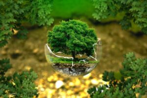 The advantages of a clean environment