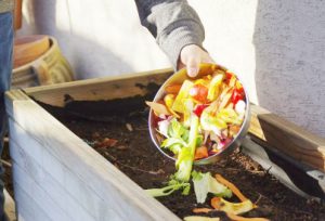 Composting: Turning waste into soil