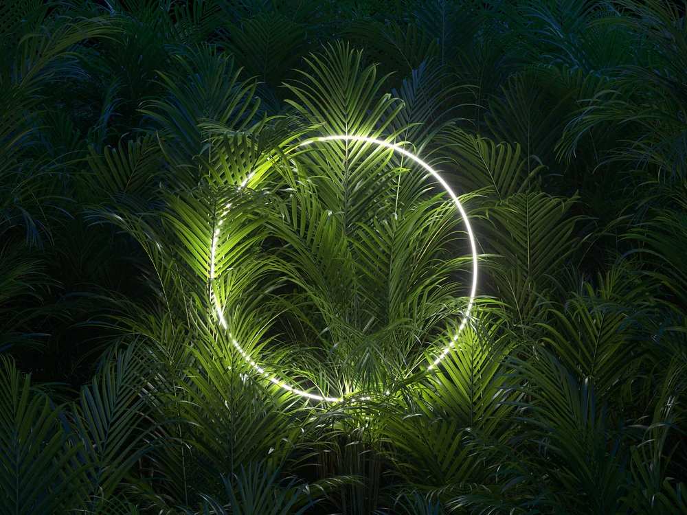How do plants sleep?